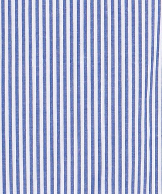 ANY 【POLO BCS別注】プレッピークロップドシャツ ブルーストライプ