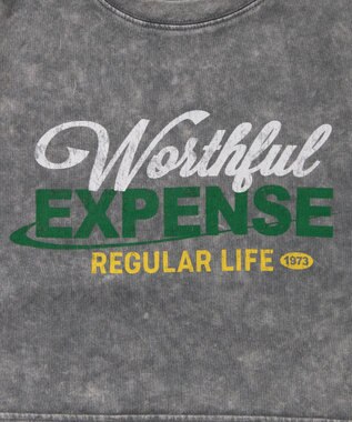 WEGO ヴィンテージウォッシュショートT 柄6