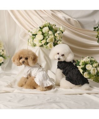 PET PARADISE cherircouture フリルリボン ワンピース 《ホワイト》 小型犬 ホワイト