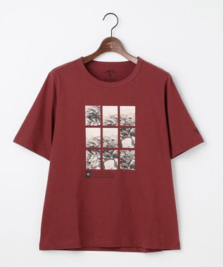 JOSEPH ABBOUD MOUNTAIN 【秋カラー/JAPANファブリック/吸水速乾】プレーティング天竺  アウトドアフォト Tシャツ