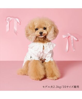 PET PARADISE cherircouture レースフリル ワンピース 小型犬 ホワイト