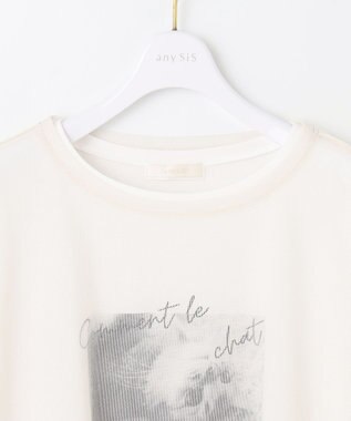 ANY SIS L 【貴島明日香さんコラボ】チュールレイニャード猫 Tシャツ アイボリー×フォト
