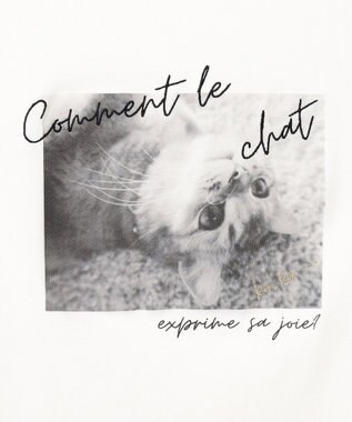 ANY SIS L 【貴島明日香さんコラボ】チュールレイニャード猫 Tシャツ アイボリー×フォト