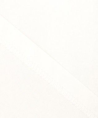 ANY SIS L 【貴島明日香さんコラボ】チュールレイニャード猫 Tシャツ アイボリー×フォト