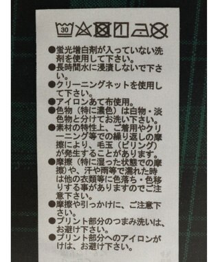 Green Parks ＥＧＯＩＳＴ　チェックロゴシャツチュニック Green