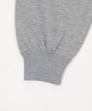 WEGO 【ユニセックス着用ITEM/裏起毛】カレッジロゴボアパーカー 杢グレー