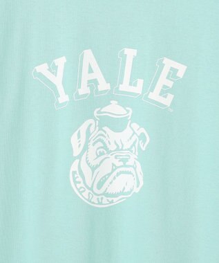 J.PRESS YORK STREET 【UNISEX】YALE ブルフェイス Tシャツ ピーコックグリーン系