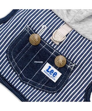 PET PARADISE Lee フード付ハーネス 《ヒッコリー》 ＳＳ ネイビー×ホワイト