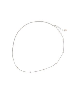 AMERICAN HOLIC 【ステンレス】スイッチドボールチェ－ンネックレス Silver