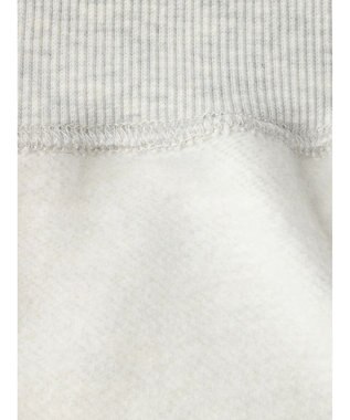 Green Parks ムジークタイガー／裏起毛プリントプルオーバー Oatmeal