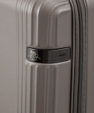 ACE BAGS & LUGGAGE HAyU×ace. セダム スーツケース 40L 機内持込 09081 ハユ エース ブラウン