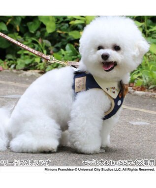 PET PARADISE ミニオン ティム ベストハーネス デニム ＳＳ 小型犬 デニム
