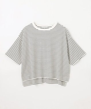 ANY L フライスワイドTシャツ ボーダー