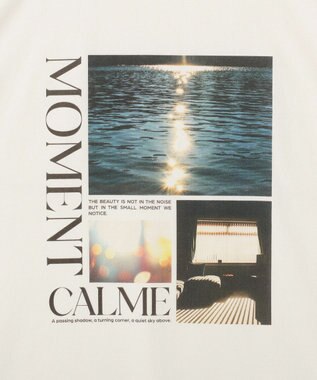 Green Parks アソート柄ＢｉｇサイズＴシャツ C