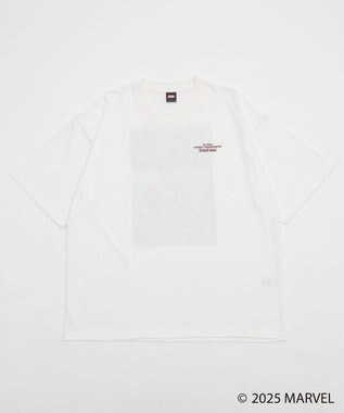 WEGO 【ユニセックス着用ITEM/SMLサイズ展開】MARVELグラフィックT（S） 柄1