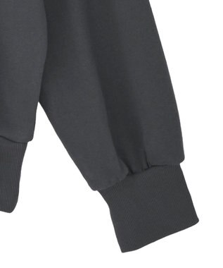 Green Parks １０１匹わんちゃん／ポロ衿裏毛スウェット Charcoal Gray