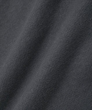 Green Parks １０１匹わんちゃん／ポロ衿裏毛スウェット Charcoal Gray