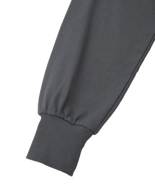 Green Parks １０１匹わんちゃん／ポロ衿裏毛スウェット Charcoal Gray