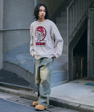 WEGO 【ユニセックス着用ITEM/MLサイズ展開】別注NEW　JACKジャガードニットプルオーバー ホワイトアイボリー