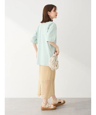 Green Parks ■Ｃｈａｍｐｉｏｎ　フットボールＴ Blue