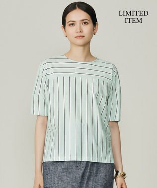 自由区 S 【WEB限定・洗える】ストライプハイゲージジャージー カットソー グリーン