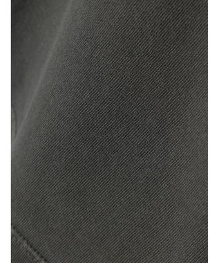 AMERICAN HOLIC フロッキーＰｔフェード加工Ｔ／Ｄｏｎａｌｄ Charcoal Gray