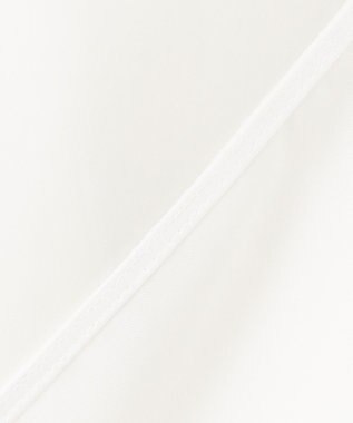 ICB L 【洗える】 PlaXシアーオーガンジー シャツ オフホワイト系