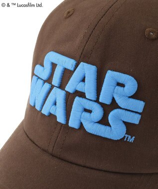 Green Parks ＳＴＡＲ　ＷＡＲＳ／刺繍ＣＡＰ Brown