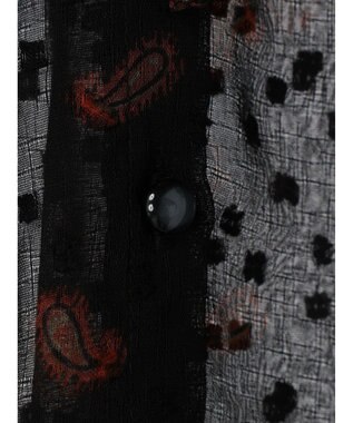 AMERICAN HOLIC ドビーシフォンフリルブラウス Paisley