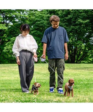 PET PARADISE ペットパラダイス 伸縮リード 《いちご柄 / ロゴ柄 》【小型犬】軽量 ロック式 ロゴ柄