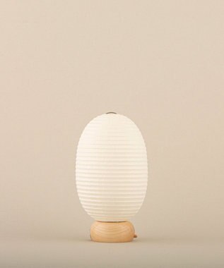 ちょうちん堂 【cocolan Muji】恐竜 ちょうちん ライト ホワイト