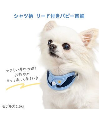 PET PARADISE ペットパラダイス リード付き首輪 《シャツ》 小型犬 ネイビー×ブルー