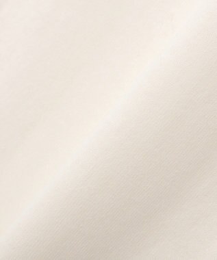 CRAFT STANDARD BOUTIQUE フラワープリントグラフィックＴシャツ D