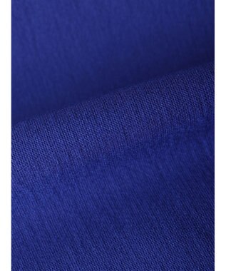 AMERICAN HOLIC 接触冷感フレンチスリーブタックポンチプルオーバー Blue