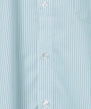 WEGO 【ユニセックス着用ITEM/シワになりにくい】イージーケアオックスフォードシャツ（S） グリーンストライプ