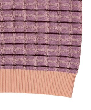CRAFT STANDARD BOUTIQUE リンクスチェックニットベスト Purple