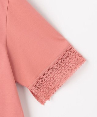 J.PRESS LADIES 【一枚で着映え】コットンスムース レース カットソー サーモン系
