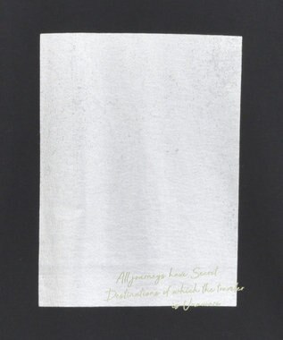 AMERICAN HOLIC ボックス箔プリントロングTシャツ Black