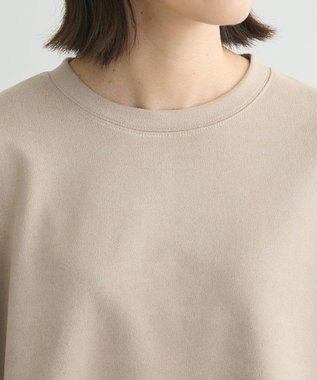 Green Parks ・ＳＵＧＡＲ　ＳＰＯＯＮ　スエードポンチプルオーバ Beige