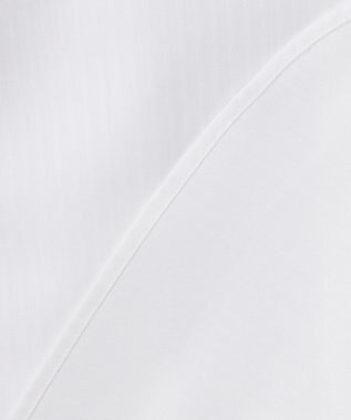 GOTAIRIKU 【形態安定】PREMIUMPLEATS_セミワイドカラー _織柄_通年ドレスシャツ(25年春夏モデル) 織柄ドビーストライプ