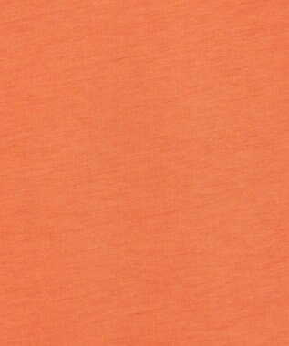 JOSEPH 【洗える】コットンシルク　ジャージーティーシャツ Sun down