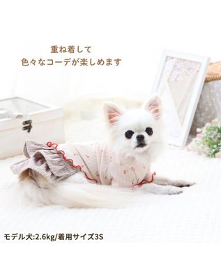 PET PARADISE ペットパラダイス フリフリ サニタリーパンツ 小型犬 ブラウン