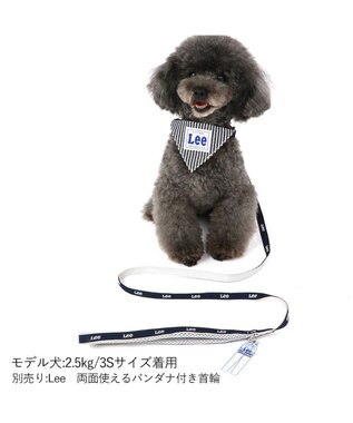 PET PARADISE Ｌｅｅ反射 チャーム付きリード 紺【ＳＳ～Ｓ】 紺（ネイビー・インディゴ）