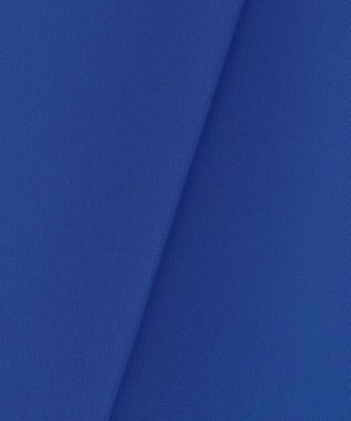 ICB 【洗える】 Peツイルダウンファブリック ワイドパンツ ロイヤルブルー系