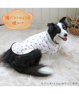 PET PARADISE ペットパラダイス ペティヒート Tシャツ 《苺柄》 中型犬 大型犬 苺柄