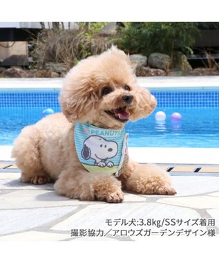 PET PARADISE スヌーピー クール バンダナ 《アイス柄》 小型犬 アイス柄