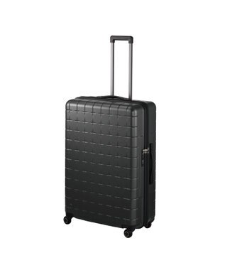 ACE BAGS & LUGGAGE Proteca 360G4 スーツケース 日本製 100L 02424 プロテカ