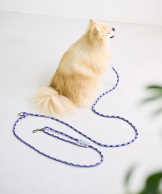 COQ HAPPY ARGYLE  ハンズフリーロングドッグリード パープル