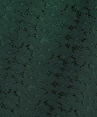 23区 【APPLAUDIR】オプティカルフラワーレース ドレス グリーン系