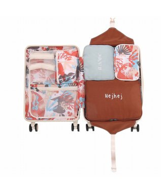 ACE BAGS & LUGGAGE HaNT ヘイヘイTR スーツケース 40L 機内持込  05180 ハント オフホワイト